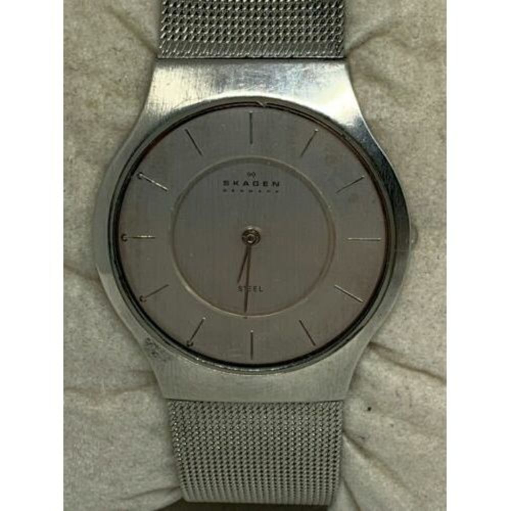 Skagen SKW2017 Womens Stainless Steel Mesh Analog Silver Dial Quartz Watch Aa155